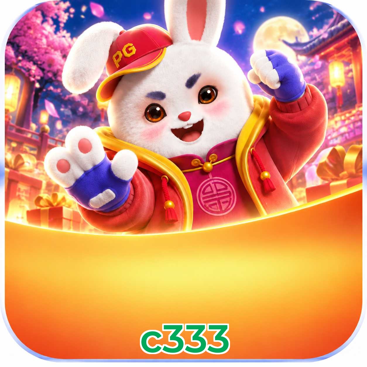 c333 Logo 2
